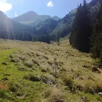 Edelweiss Mit Infrarotkabine Apartment