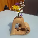 Edelweiss Mit Infrarotkabine *