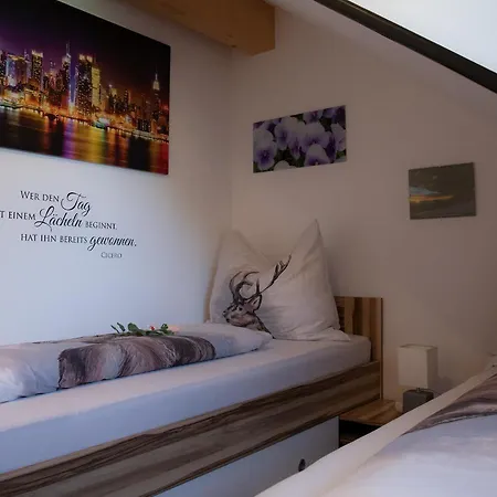 Edelweiss Mit Infrarotkabine Apartment Grosssolk