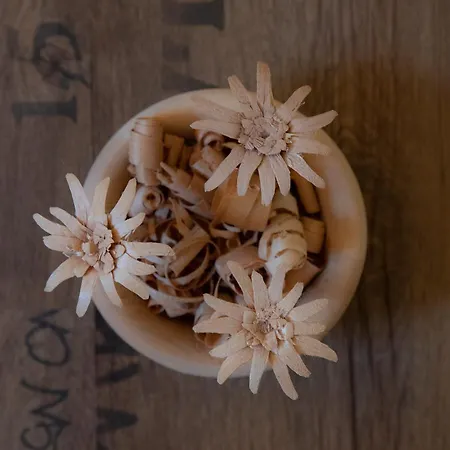 Edelweiss Mit Infrarotkabine Apartment *