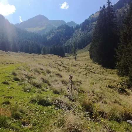 Edelweiss Mit Infrarotkabine Apartment