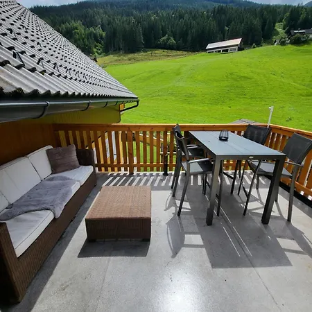 Edelweiss Mit Infrarotkabine *