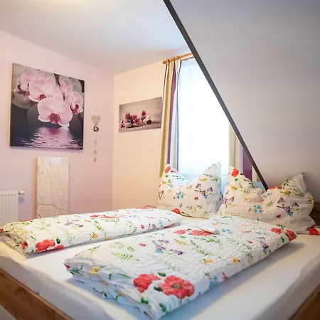 Edelweiss Mit Infrarotkabine Appartement