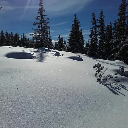 شقة Edelweiss Mit Infrarotkabine Grosssolk