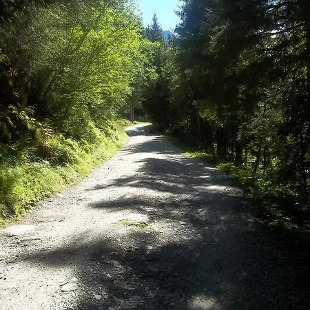 شقة Edelweiss Mit Infrarotkabine Grosssolk