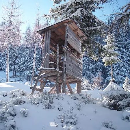 Edelweiss Mit Infrarotkabine Grosssolk