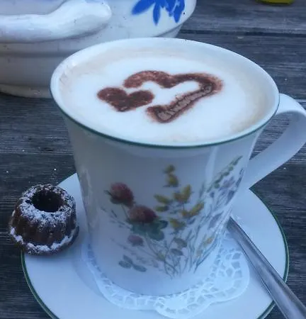 Edelweiss Mit Infrarotkabine شقة *