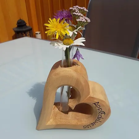 Edelweiss Mit Infrarotkabine *