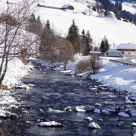 Edelweiss Mit Infrarotkabine *