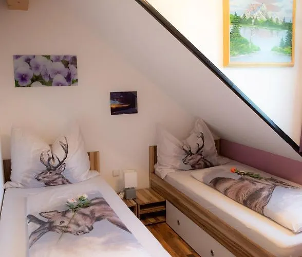 Edelweiss Mit Infrarotkabine * Grosssolk