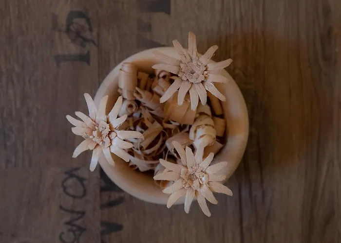 Edelweiss Mit Infrarotkabine Διαμέρισμα *