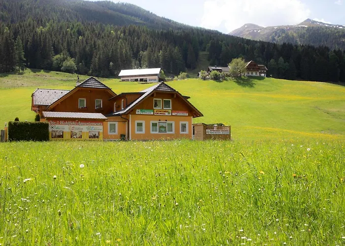 Edelweiss Mit Infrarotkabine