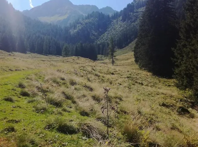 Edelweiss Mit Infrarotkabine Διαμέρισμα