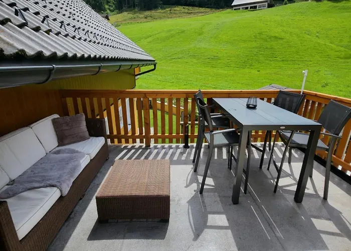 Edelweiss Mit Infrarotkabine *