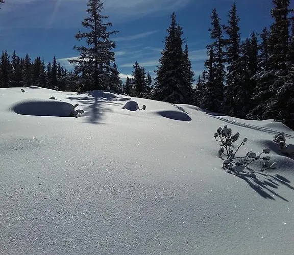 Appartement Edelweiss Mit Infrarotkabine Grosssolk