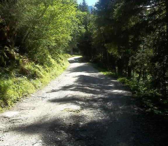 Apartment Edelweiss Mit Infrarotkabine Grosssolk