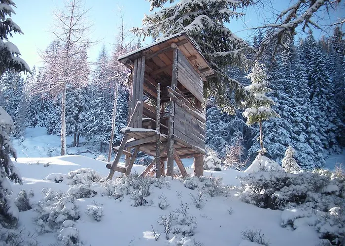 Edelweiss Mit Infrarotkabine Grosssolk