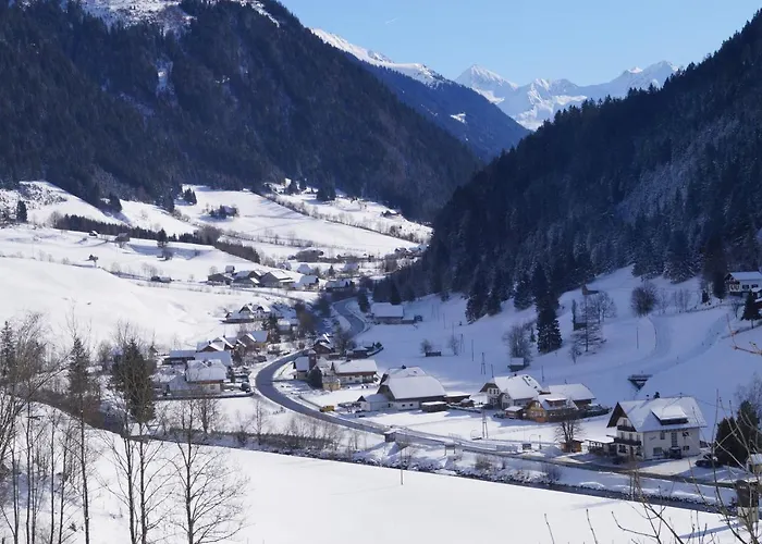 Edelweiss Mit Infrarotkabine Appartement