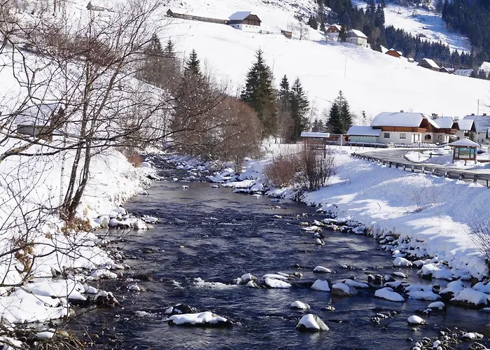 Edelweiss Mit Infrarotkabine *